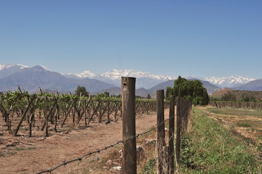 Roteiros pelas Vinícolas — Topline Tour Chile